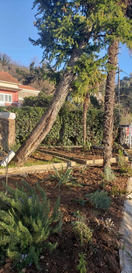 Holiday Home Nives Tivat Exterior foto
